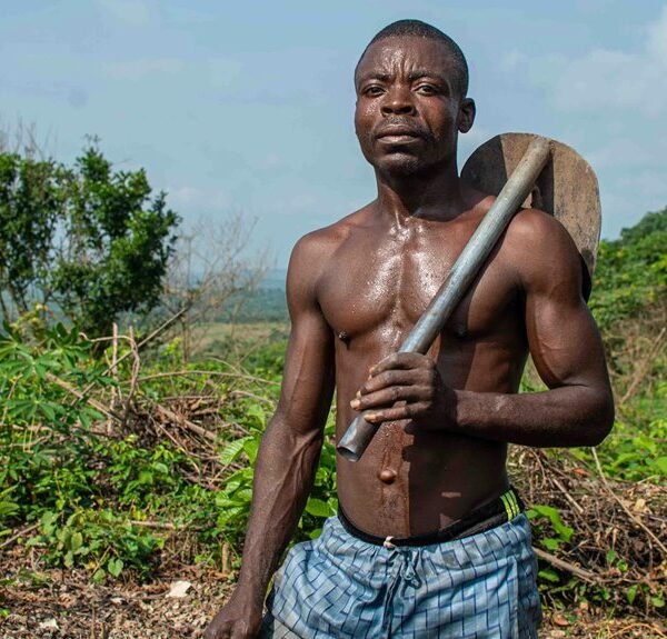 digital growth enhancement tools