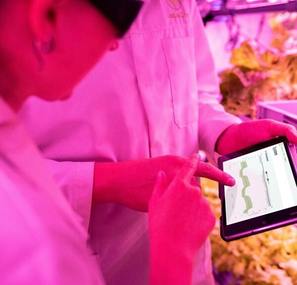 maximize your digital growth