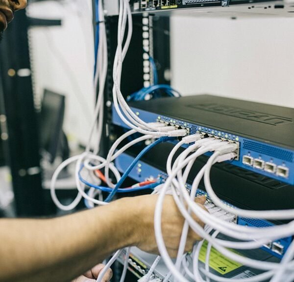 next level web engine digital network identity