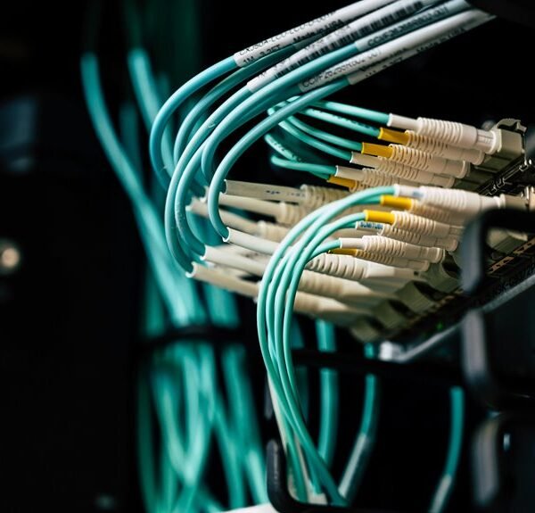 next level web network cloud suite identifier 938691498